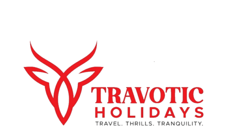 Travotic Holidays