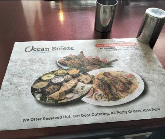 ocean-breezechengannur-big-2