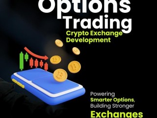 accelerate-growth-with-ai-powered-option-trading-exchange-development