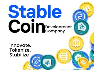 start-your-stablecoin-project-with-industry-leading-developers