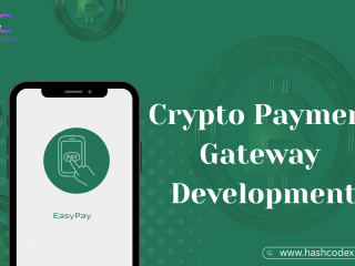 develop-a-crypto-payment-gateway-with-high-transaction-speed
