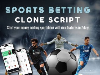 high-roi-sports-betting-clone-script-free-live-demo