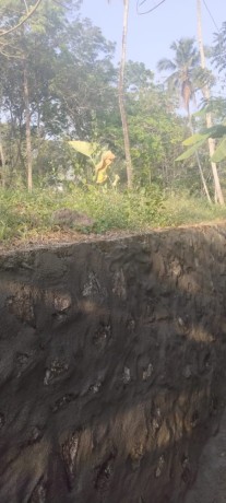 plot-for-sale-at-kumbanad-big-2