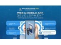 app-developer-pro-your-trusted-webmobile-appssoftware-development-partner-small-0