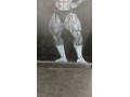 mass-fitness-small-0
