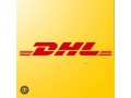 dhlbluedart-courier-services-small-0