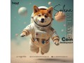 build-a-powerful-solana-meme-coin-with-beleaf-technologies-small-0