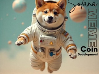 build-a-powerful-solana-meme-coin-with-beleaf-technologies
