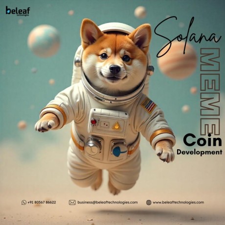 build-a-powerful-solana-meme-coin-with-beleaf-technologies-big-0