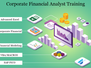 how-an-financial-analyst-course-can-secure-your-job-in-the-evolving-2025-market-100-job-financial-modelling-training-in-delhi-110065-by-sla