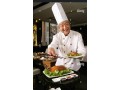 captains-waiter-cashier-thanthoori-cook-chinese-cook8714421133-small-0