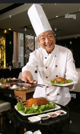 captains-waiter-cashier-thanthoori-cook-chinese-cook8714421133-big-0