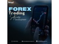 get-your-own-forex-trading-software-with-beleaf-technologies-small-0