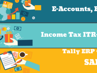 why-accounting-courses-are-more-valuable-than-ever-in-2025-100-job-accounting-course-in-delhi-110037-free-sap-fico-certification