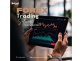 best-forex-trading-software-development-with-beleaf-technologies-small-0