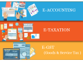 how-an-accounting-course-can-secure-your-job-in-the-evolving-2025-market-100-job-accounting-course-in-delhi-small-0