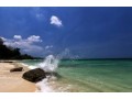 exotic-andaman-at-inr-13325-small-0