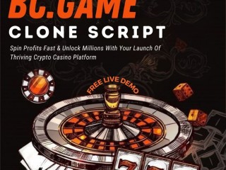feature-rich-bc-game-clone-at-low-cost-to-attract-players-worldwide